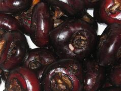 Castagne d’acqua, lo snack che protegge fegato e cervello: cosa sono e come si mangiano