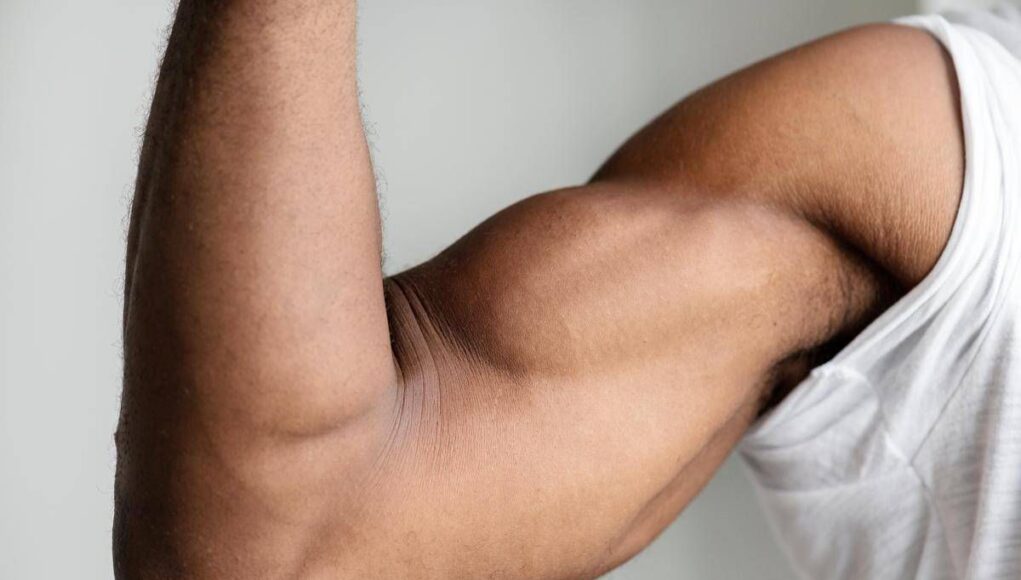 Ecco perché i muscoli invecchiano, lo studio italiano svela il ruolo dei perossisomi