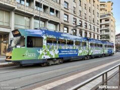 Giornata del diabete, a Milano il tram per sensibilizzare sul tipo 1