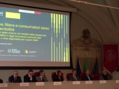 Imprese: Grins, strumenti e strategie per la transizione verde