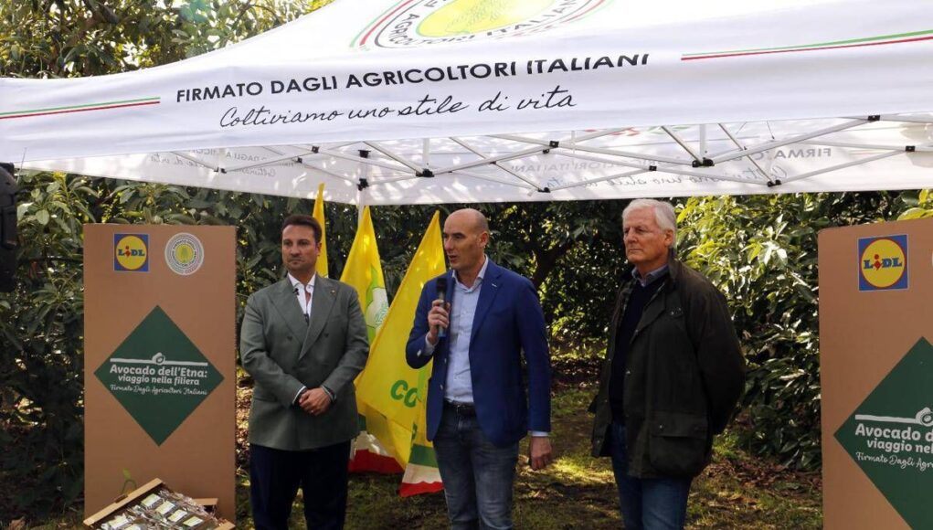 L’avocado siciliano conquista gli store Lidl Italia