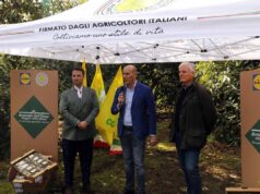 L’avocado siciliano conquista gli store Lidl Italia