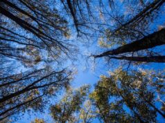 L’estate di San Martino non delude, stop alla pioggia arrivano beltempo e temperature miti