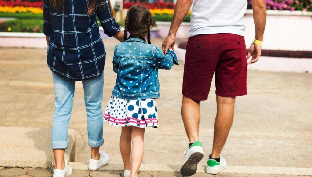 Manovra, Istat: “Taglio Irpef per 14 milioni di contribuenti, beneficio medio 230 euro anno”