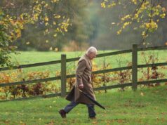 Non solo la vasca di letame, il parco di Sandringham diventa rischioso per i cani