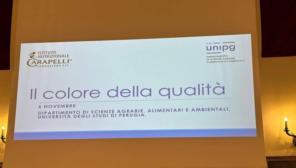 Olio, Inc: “Nuove evidenze scientifiche per preservare qualità evo in bottiglia”