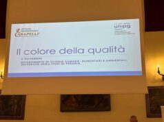 Olio, Inc: “Nuove evidenze scientifiche per preservare qualità evo in bottiglia”