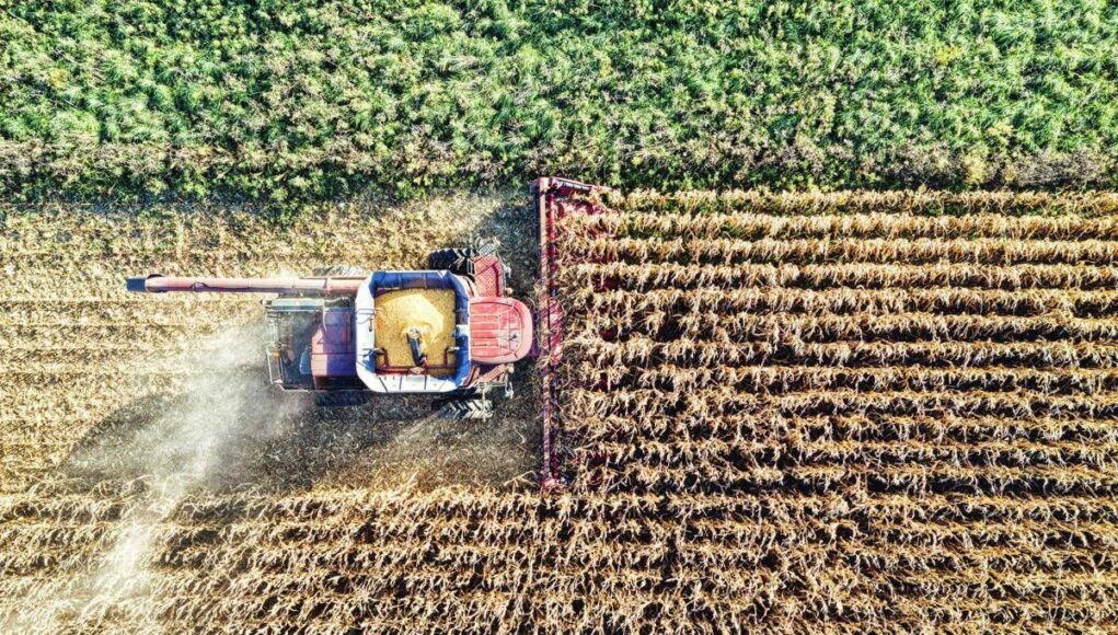 Osservatorio Agrofarma: “Italia modello di eccellenza per uso agrofarmaci”