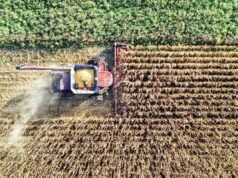 Osservatorio Agrofarma: “Italia modello di eccellenza per uso agrofarmaci”