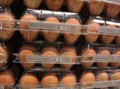 Quanti errori in cucina, dal frigo all’igiene: il decalogo dell’Iss per pasti sicuri