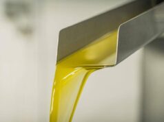 Rifiuti, RenOils: la raccolta degli oli esausti cresciuta del 2,4% nel 2024
