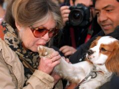 Brigitte Bardot, da diva del cinema a paladina degli animali