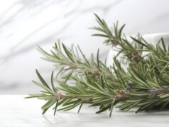 Buccia di limone, basilico e rosmarino: perché farli bollire e le proprietà ‘segrete’