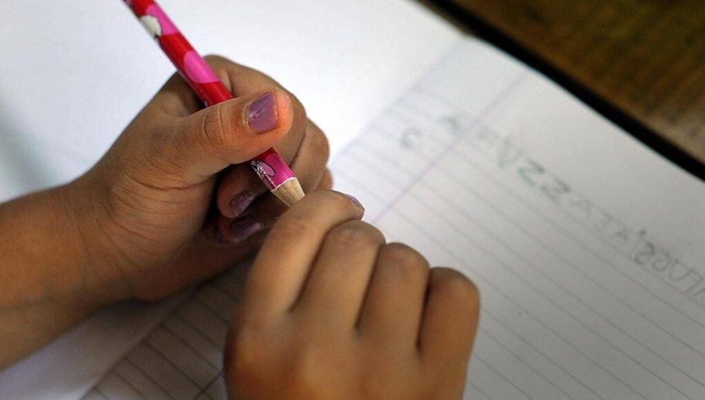 Famiglia nel bosco, ‘buono’ a genitori che scelgono istruzione a casa: la proposta della Lega