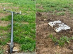 Foibe, Comitato 10 Febbraio: “A Firenze distrutta la targa dedicata a Norma Cossetto”