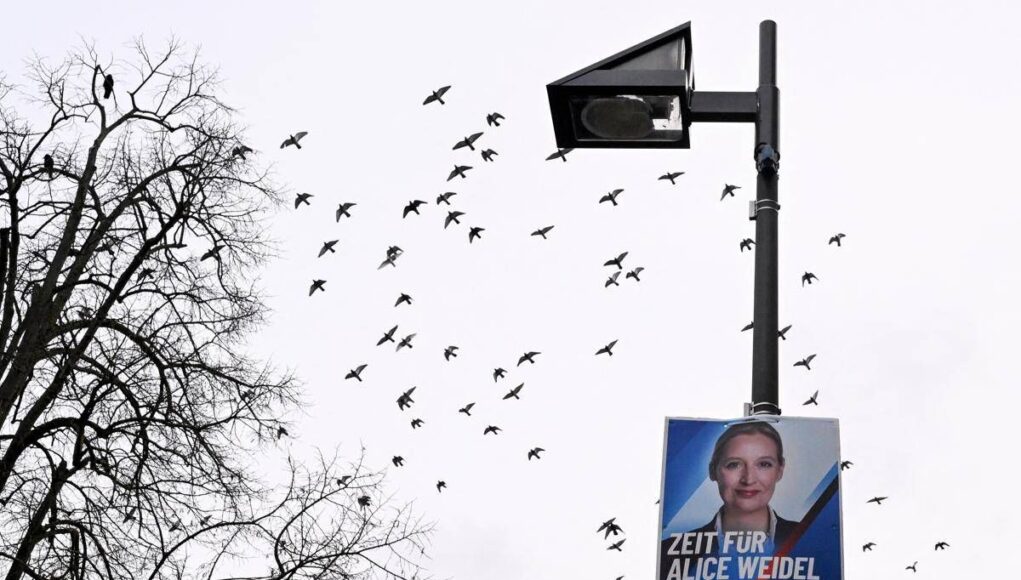 Germania, Afd primo partito: il sondaggio premia l’estrema destra