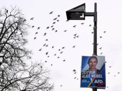 Germania, Afd primo partito: il sondaggio premia l’estrema destra