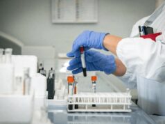 Hantavirus, 4 persone monitorate in Italia: “Non hanno sintomi”