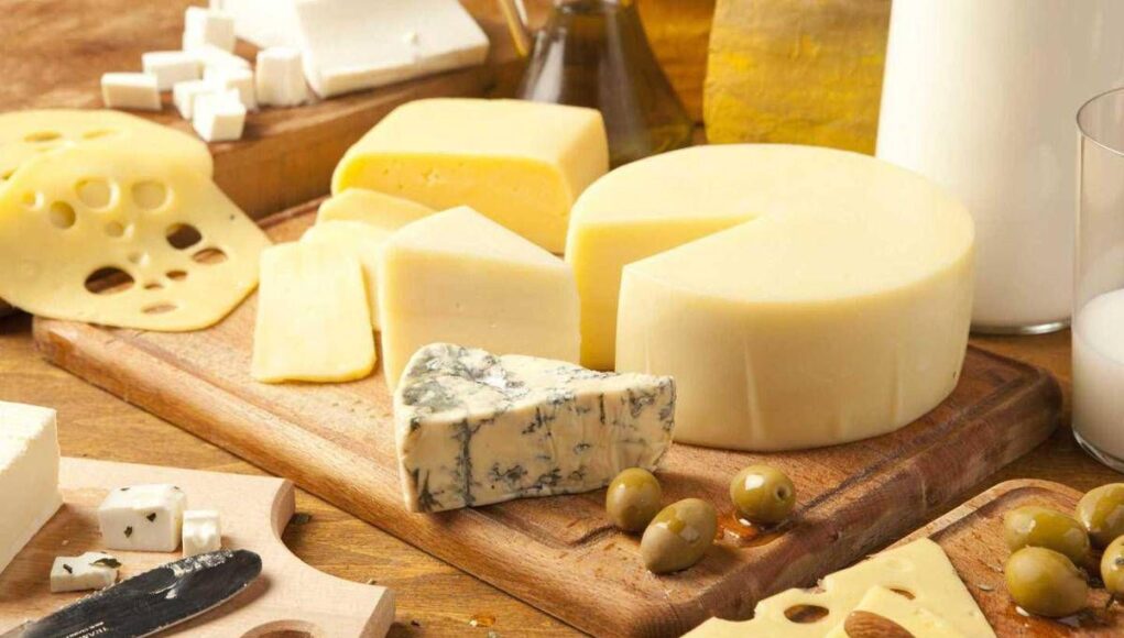 Il formaggio fa diminuire il rischio di demenza? Lo studio svedese durato 25 anni