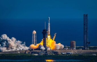 Il segreto per i viaggi nello spazio? I funghi di Chernobyl: la scoperta