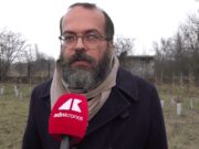 KilometroVerdeParma, più alberi diffusi in città per combattere caldo e cemento