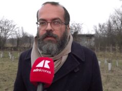 KilometroVerdeParma, più alberi diffusi in città per combattere caldo e cemento