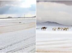 L’Arabia Saudita ‘riscopre’ la neve, primi fiocchi dopo 30 anni