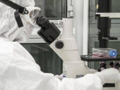 La scoperta per ricaricare le cellule e combattere l’invecchiamento