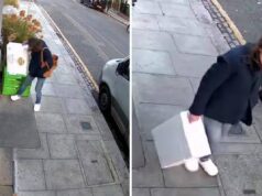 Londra, mistero della ‘ladra di langoustine’: rubati crostacei, manzo e orchidee rare