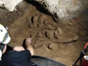 Muciv inaugura a Roma Laboratorio Neanderthal, nuova area espositiva