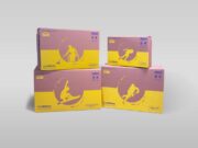 Poste, spedizioni sempre più ecosostenibili: buste e scatole in cartone riciclato 100%