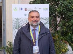 Tabacco, De Carlo (FdI): “Fronte comune sulla Pac in Parlamento a sostegno agricoltori”