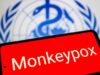 Vaiolo delle scimmie, Oms: “Mpox continua a circolare, a novembre 2.150 casi e 5 morti”