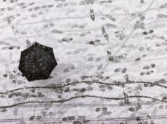 Dal freddo artico al tempestoso Maestrale: brusca svolta meteo sull’Italia