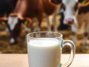 Latte crudo, la moda riprende quota in Usa. L’allarme dei medici: “Gravi rischi”