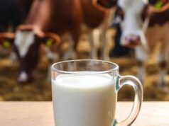 Latte crudo, la moda riprende quota in Usa. L’allarme dei medici: “Gravi rischi”