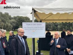 Lotito: “Siamo alle battute finali su documenti per Flaminio”. Gualtieri: “Auspico che la Lazio abbia la sua casa”