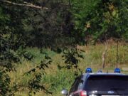 Messina, trovati tre cadaveri crivellati di colpi nel bosco di Montagnareale: si tratterebbe di tre cacciatori