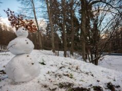 Perché si chiamano giorni della merla? Storia e mito dei giorni più freddi di gennaio