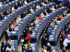 Ue: Mercosur, Groenlandia e diritti, l’Europarlamento nella settimana decisiva