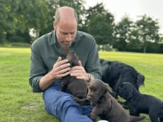 William e Kate condividono l’amore di Elisabetta II per i cani, James Middleton spiega perché