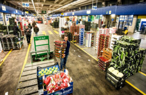 Rivolta al CAAT di Grugliasco: “Il turno diurno ucciderebbe il fresco” CAAT Torino