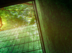 I vantaggi della transizione energetica per le aziende transizione ecologica