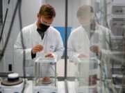 Carcinoma polmonare, ok Ema a lurbinectedina e immunoterapia in prima linea