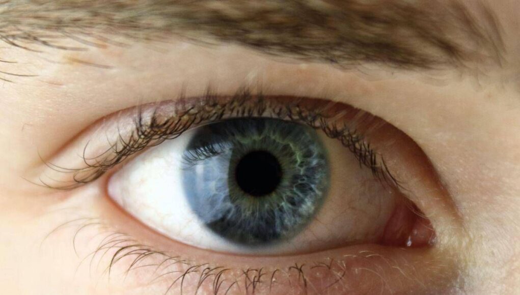 Chirurgia vitroretinica, al Miulli di Bari formazione sulla gestione dei casi complessi