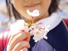 È il primo giorno di primavera, ecco perché l’equinozio cade oggi 20 marzo
