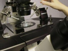 Fecondazione, la salute del padre ha un ruolo anche prima del concepimento