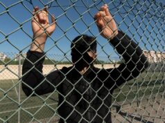 Minori, Save the Children: “Il 13,4% dei ragazzi ha assistito a scene di violenza che venivano filmate”