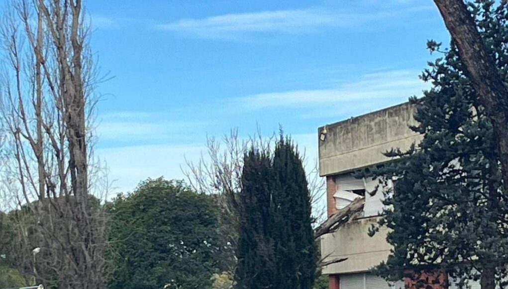 Paura a Roma, cade albero e sfonda finestra del liceo Orazio