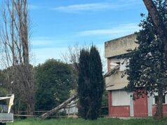 Paura a Roma, cade albero e sfonda finestra del liceo Orazio